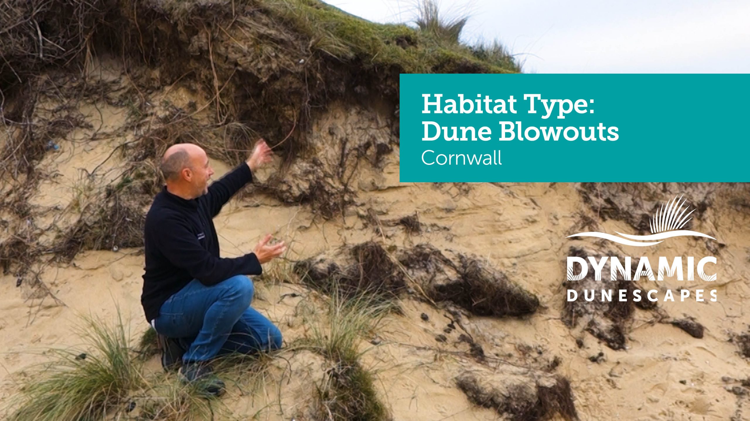 Cornwall Blowout Thumbnail