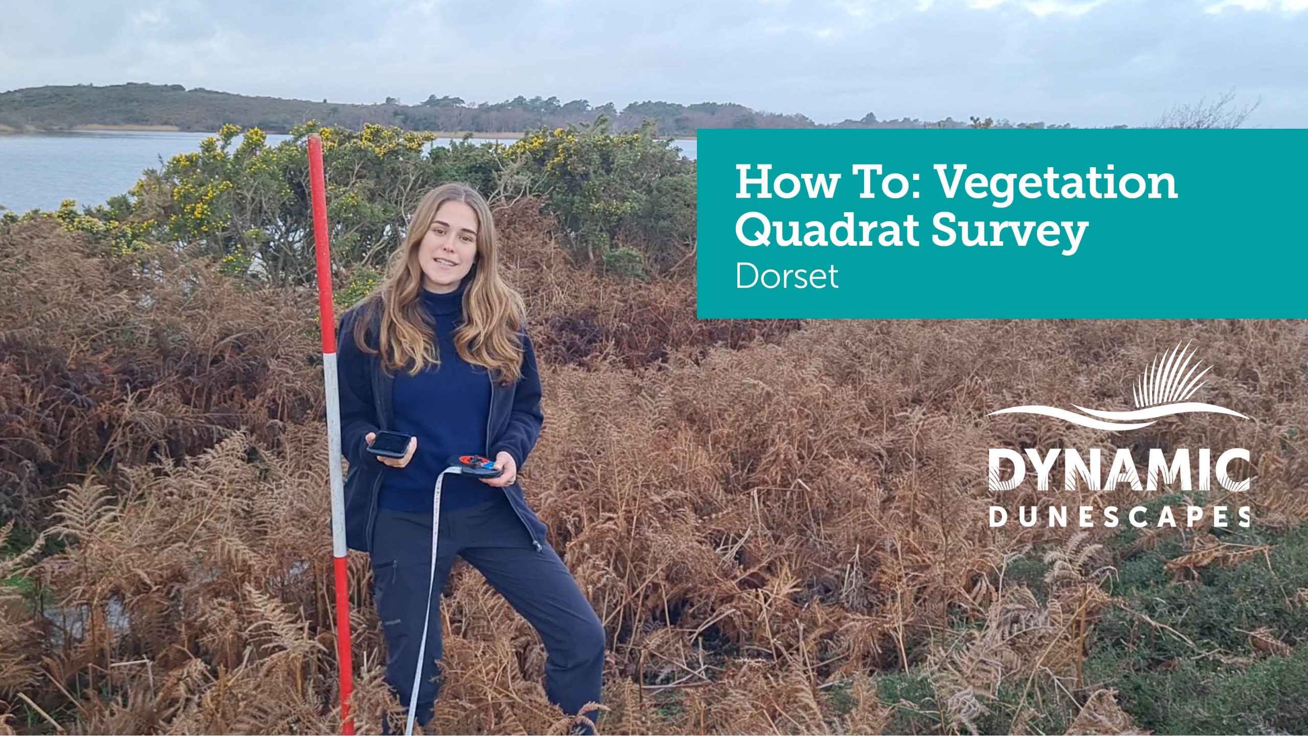 Vegetation Quadrat Thumbnail