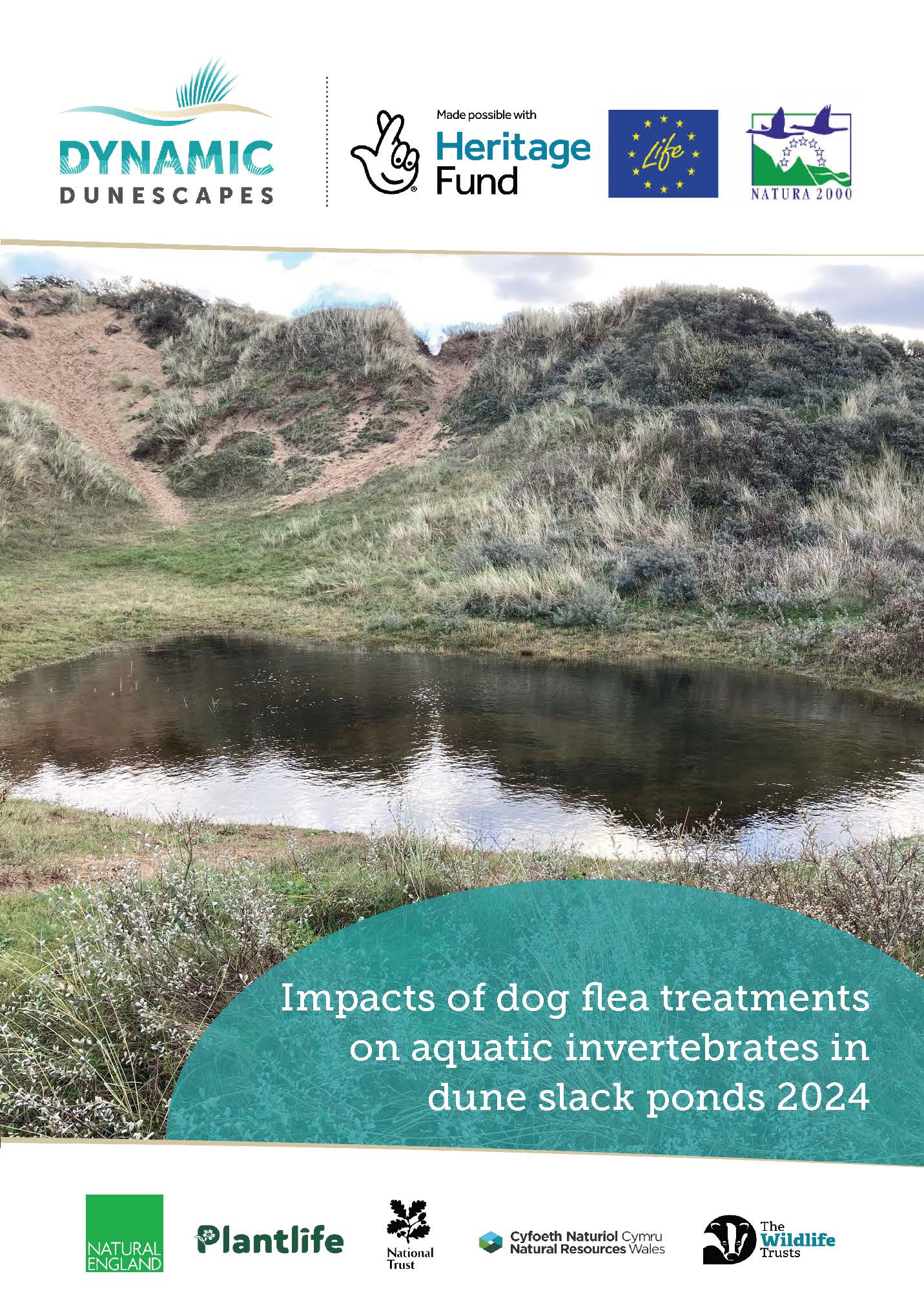 Flea Treatment Pond Invert Cover image_Page_1