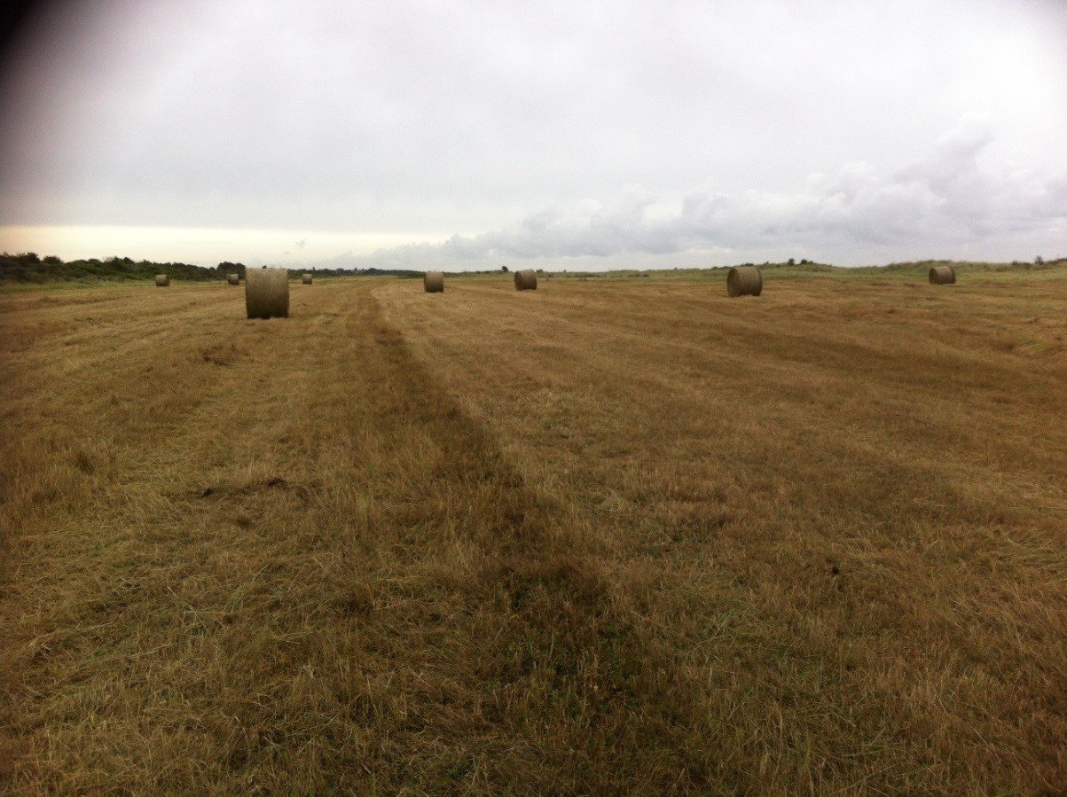 Saltings meadow baled 23 Sept 2018.Kev Wilson