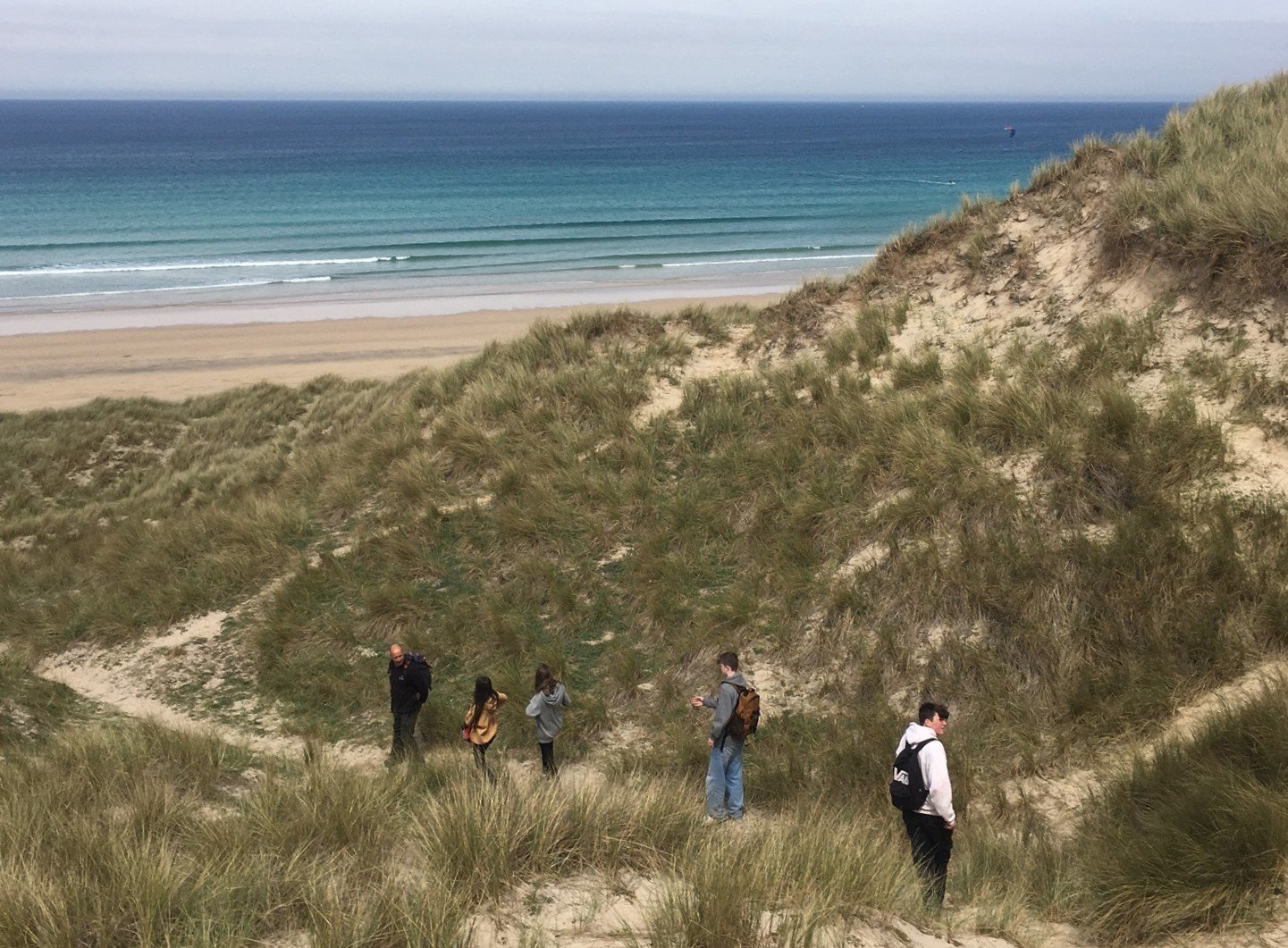 dunes-SWF-3-crop1