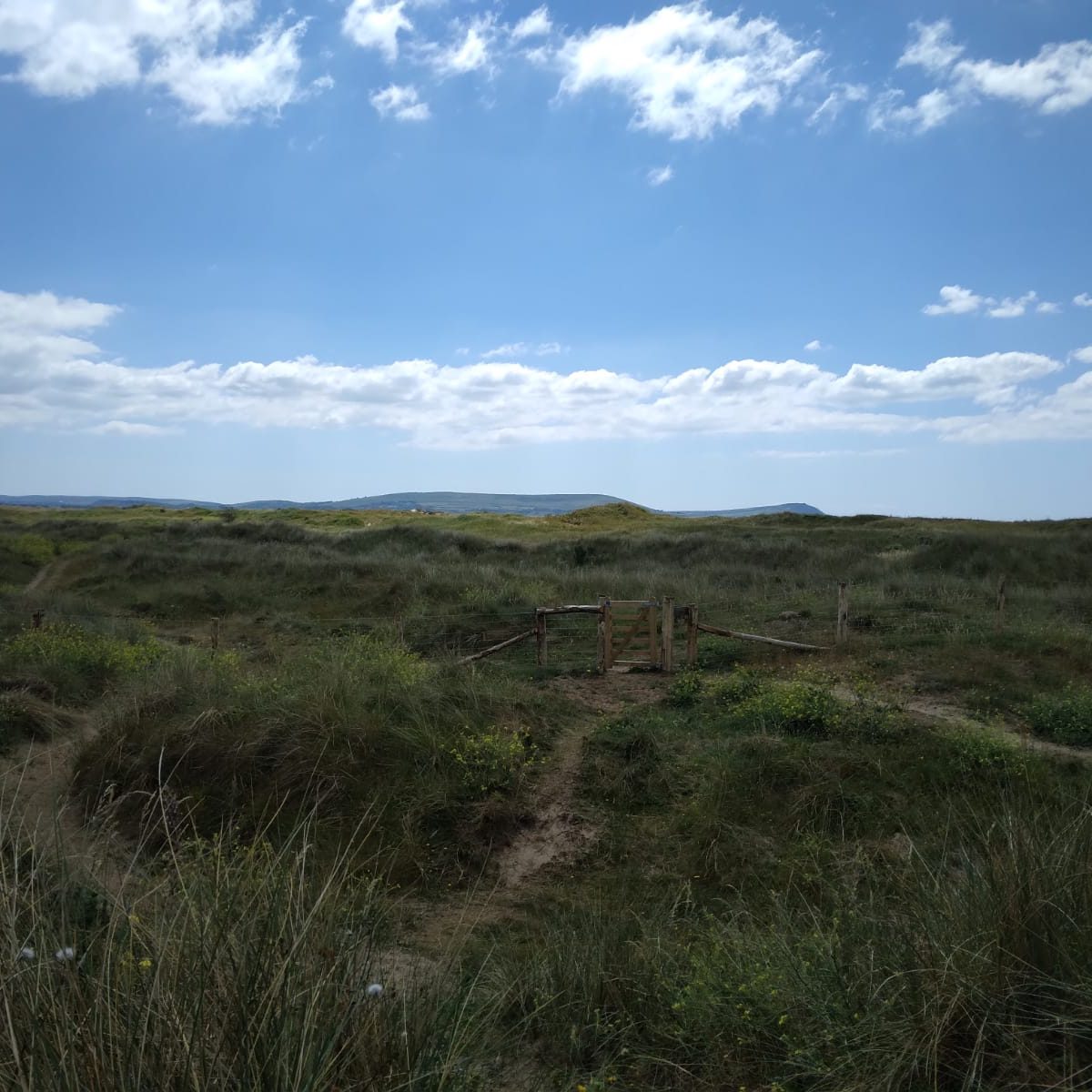 A view over the grassy dunes at Pembrey in South Wales